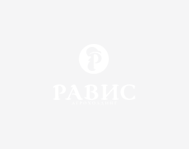 Пельменей много не бывает! Пельменей много не бывает!